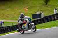 Vintage-motorcycle-club;eventdigitalimages;mallory-park;mallory-park-trackday-photographs;no-limits-trackdays;peter-wileman-photography;trackday-digital-images;trackday-photos;vmcc-festival-1000-bikes-photographs